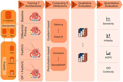 The privacy-explainability trade-off: unraveling the impacts of differential privacy and federated learning on attribution methods